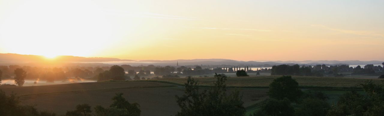 Gold traden - long bzw. short 931456