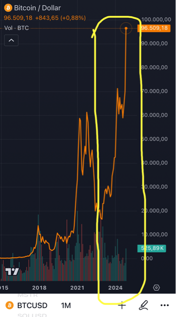 Bitcoin - mehr als eine Spekulationsblase? 1460274
