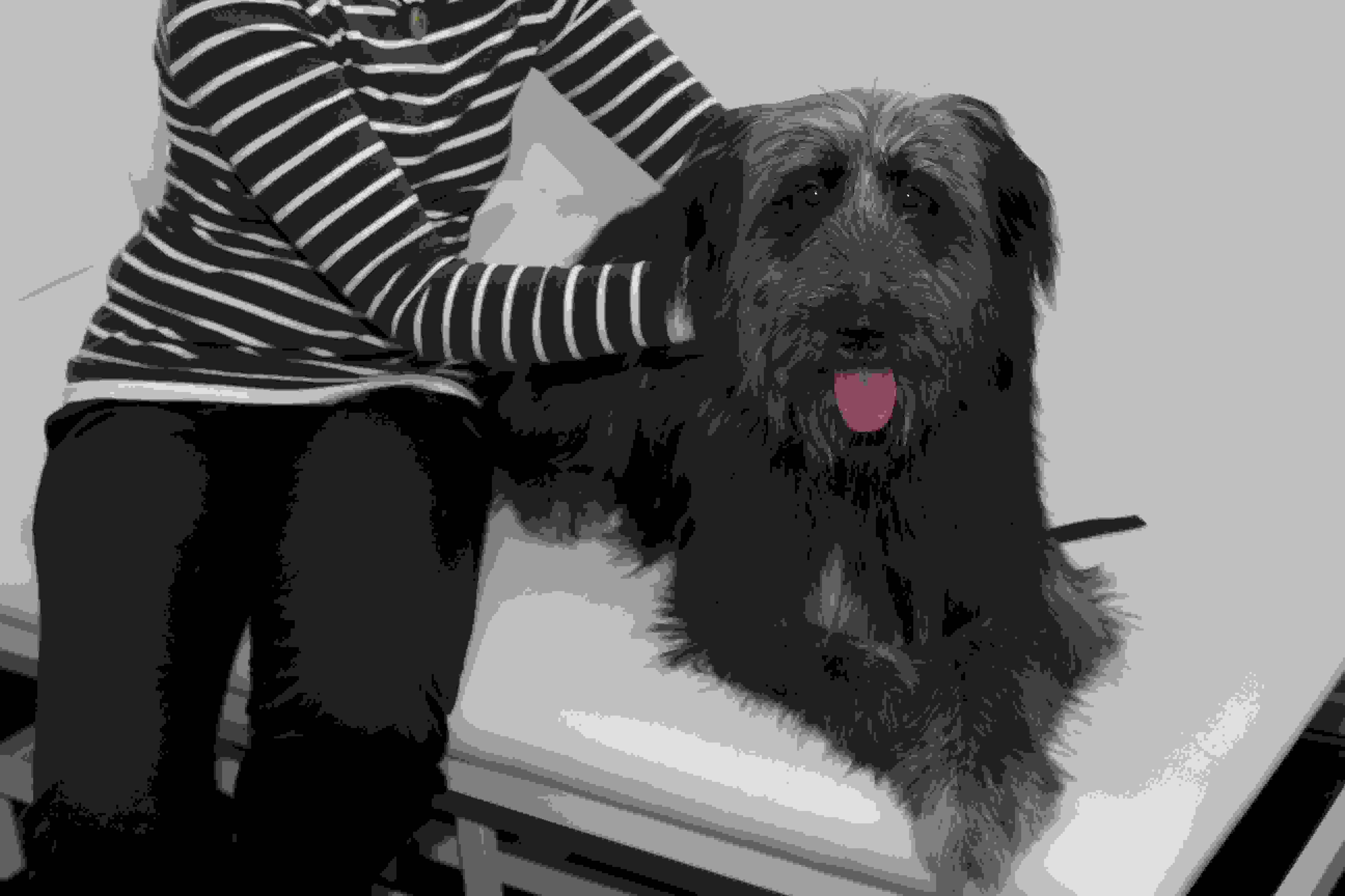 QV ultimate 2012 499643