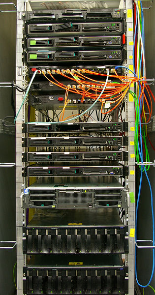 Die Bullen scharren gar nicht mit den Hufen, 184056