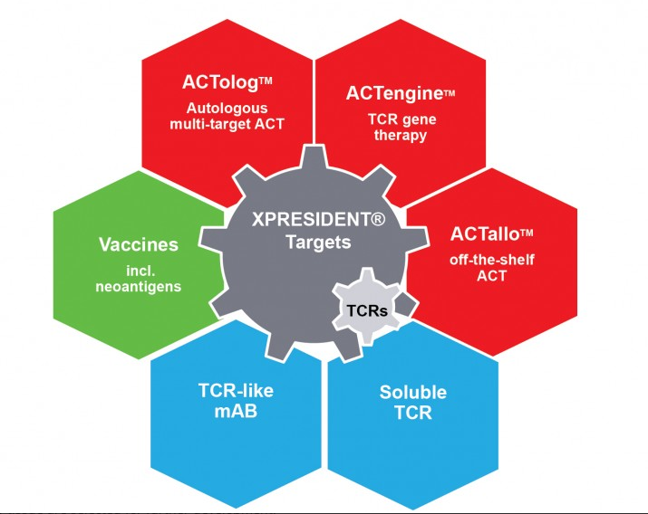 Medigene - Sachliche und fachliche Beiträge 853508