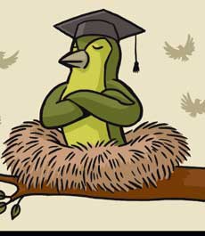 Abacho / My-Hammer 35614