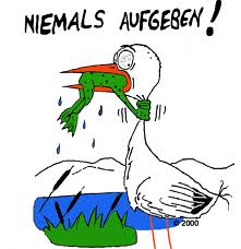 YAHOO steigt und steigt und steigt 783839