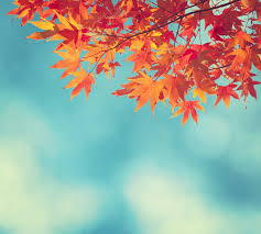 Dax 6000 keine Utopie mehr.... 1080904