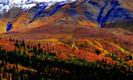 1.139.DAX Tipp-Spiel, Montag, 05.10.09 263895