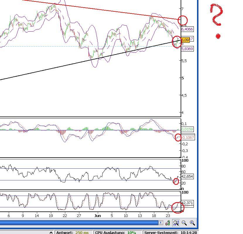 Das Bärengebrüll wird schon wieder lauter, 171155