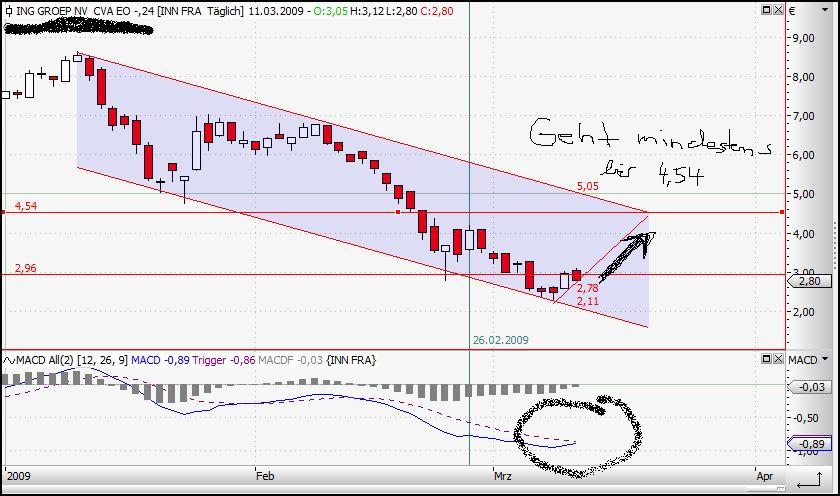 ING nach AIG Niedergang jetzt auch in Asien Versicherer Nr. 1 221425