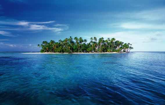 Thompson Creek Metals (Blue Pearl Mng) 104556