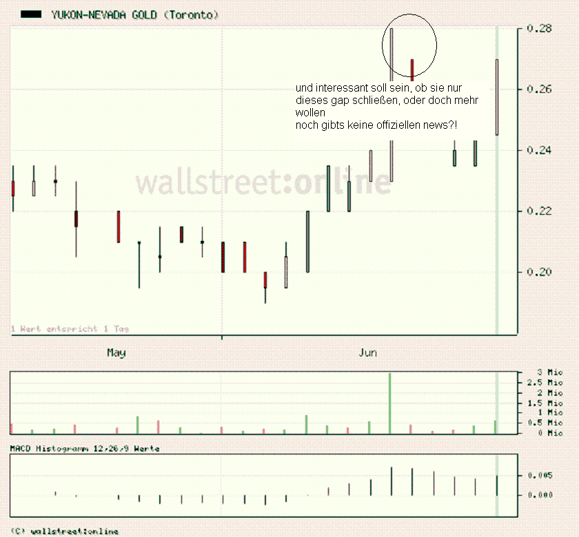 Yukon Nevada Goldmines: bald positive News? 327425