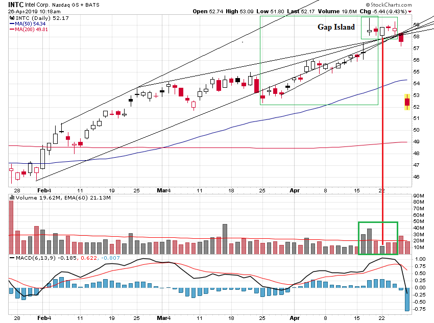 Der USA Bären-Thread 1109061