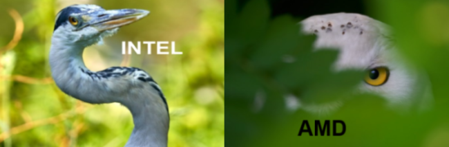 AMD- Mit Zen und Vega in eine bessere Zukunft 1120763