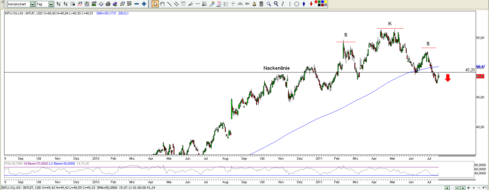 Bear Zocks - daily 424469