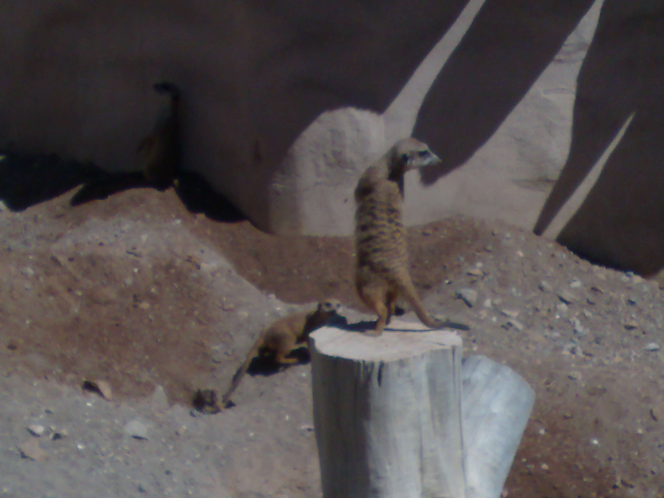 Citigoup - wann einsteigen ? 258011