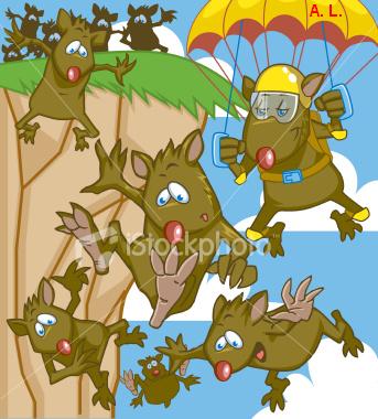 Der USA Bären-Thread 379296