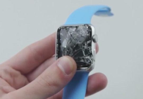 Apple Short Only 831132