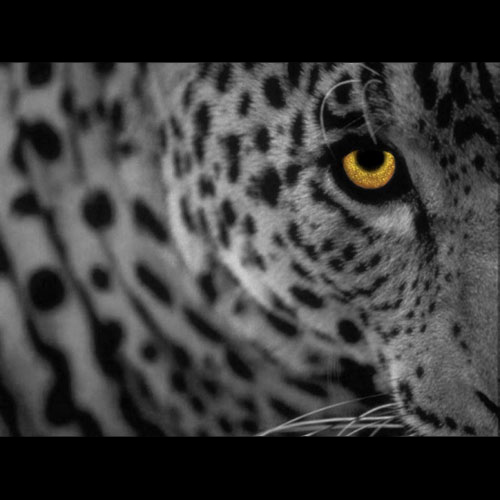 1.422.DAX Tipp-Spiel, Freitag, 12.11.10 357972