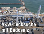 Wenn das Gold redet, dann schweigt die Welt! 393140