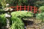 Du willst also Japanisch lernen... 23501453
