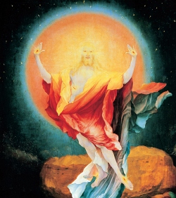 Der USA Bären-Thread 215152