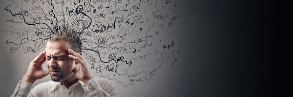 Asian Bamboo, geht die Bambusstory weiter? 701085