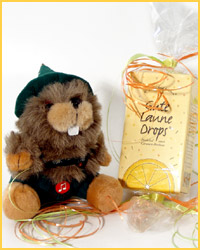 Der USA Bären-Thread 403010