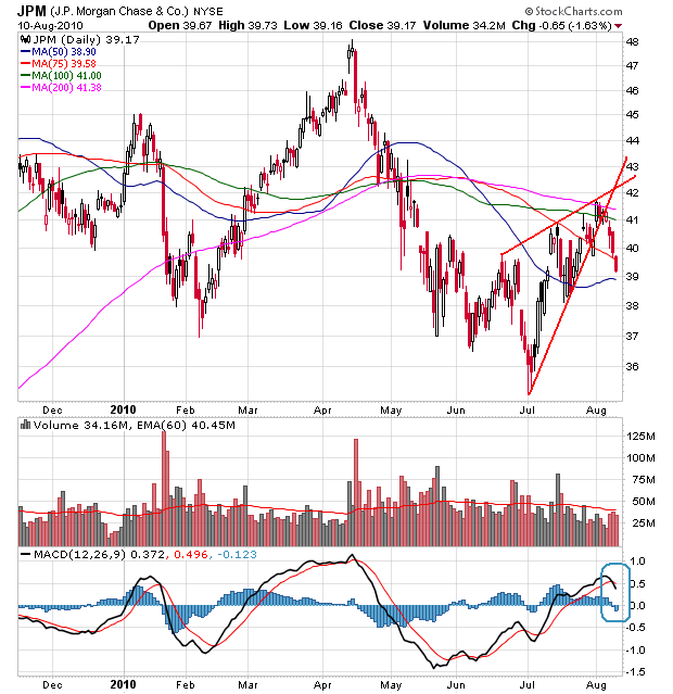 Der USA Bären-Thread 337115