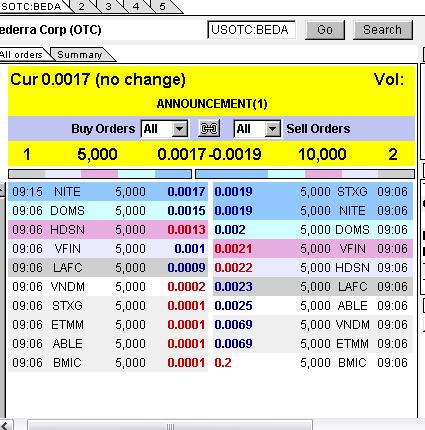 Bederra Corporation 300258