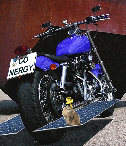 Conergy, Pro und Contra... 351387