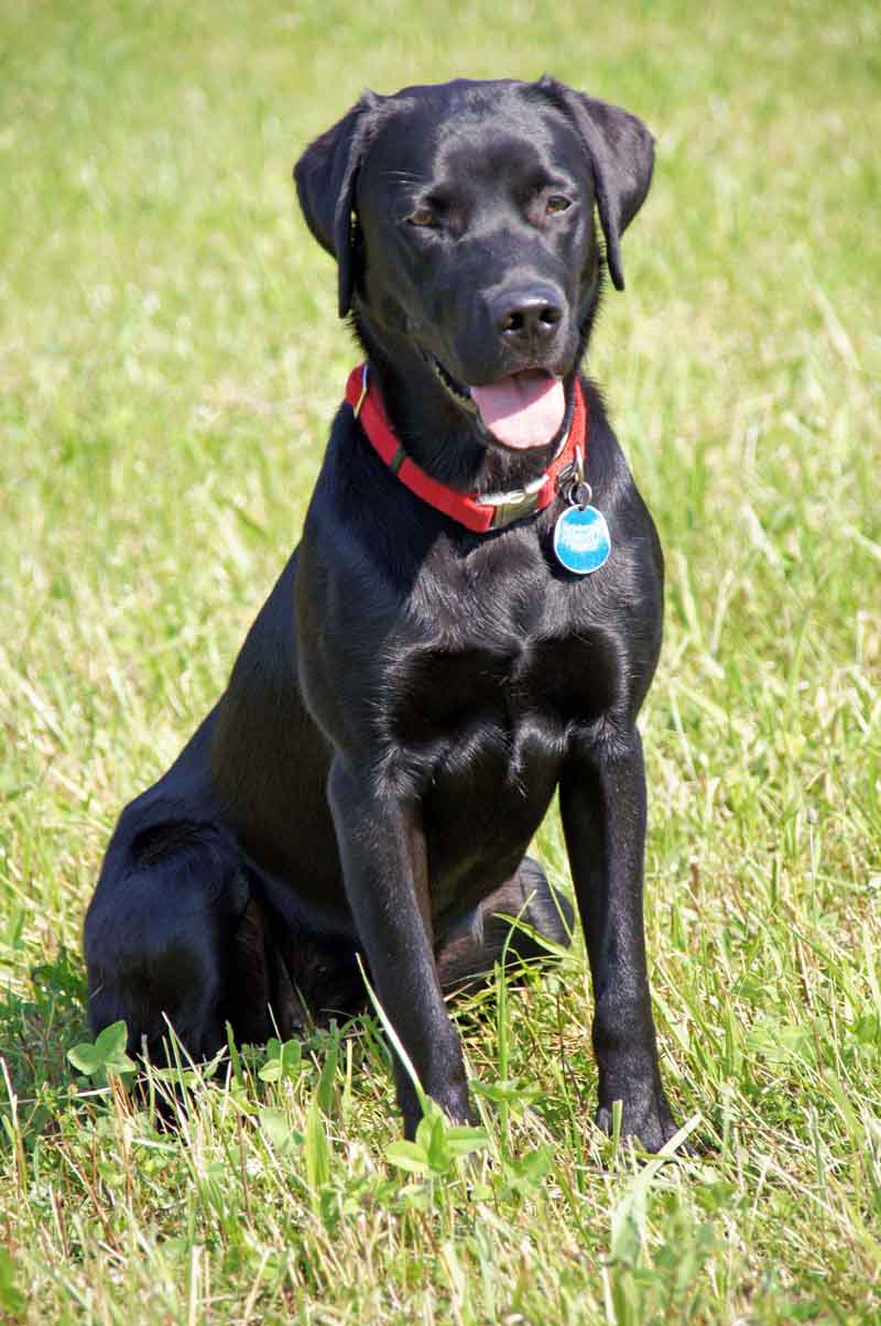 QV ultimate 2012 499686