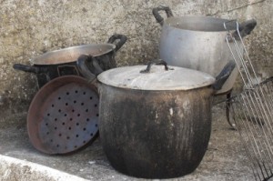 Der USA Bären-Thread 596823