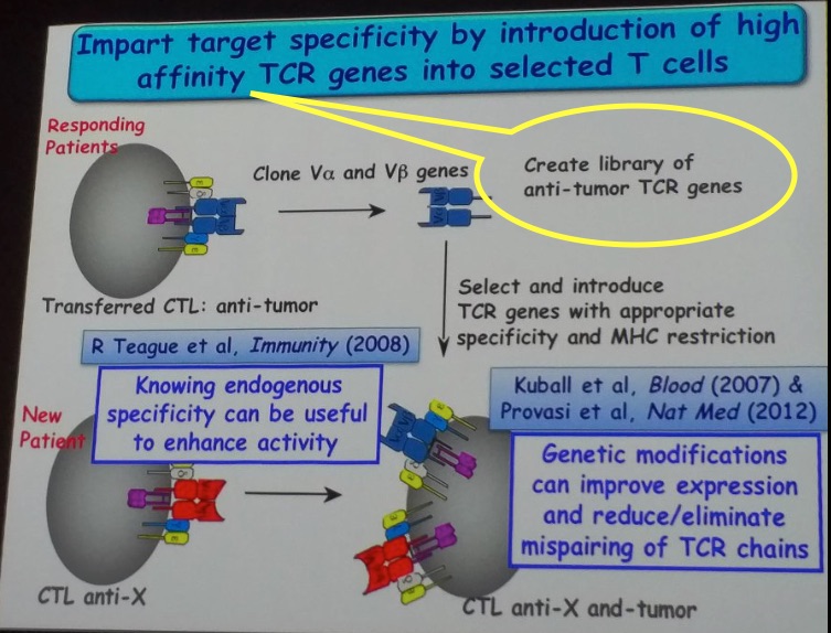 Medigene - Sachliche und fachliche Beiträge 909176