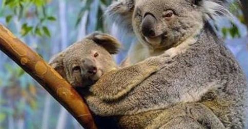 QuoVadisDax - das Original - Nachfolgethread 686777