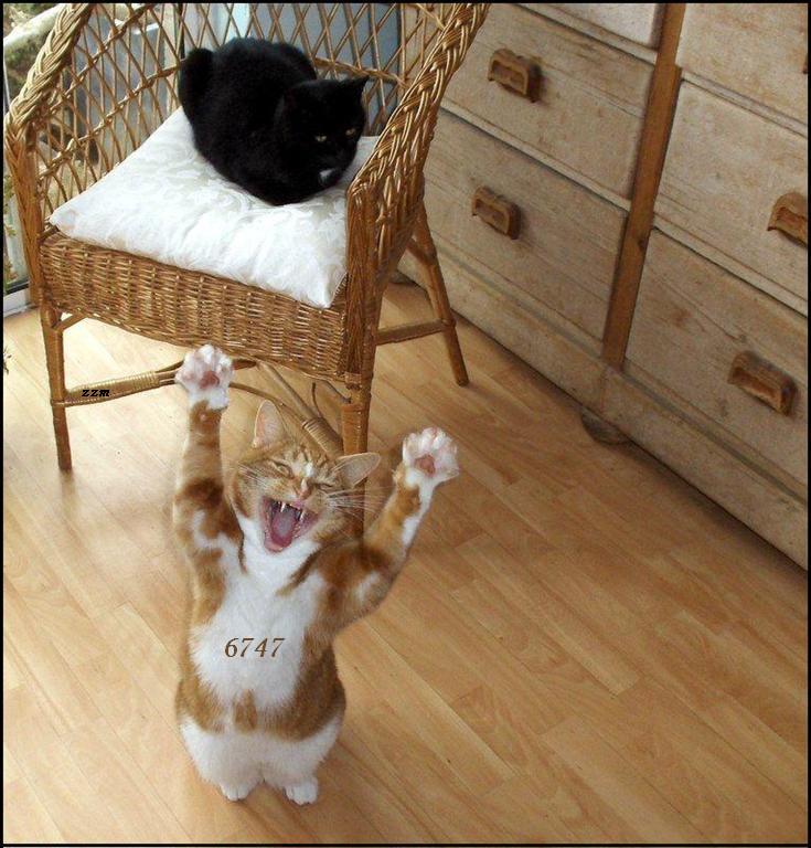 809.DAX Tipp-Spiel, Mittwoch, 18.06.08, 17:45 Uhr 169399