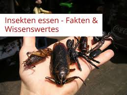 Der USA Bären-Thread 1118950