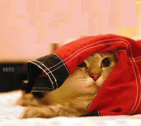 849.DAX-Tipp-Spiel *Mittwoch* 13.08.08-17.45 Uhr 179633