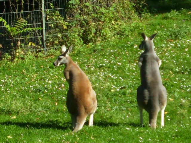 757.DAX Tipp-Spiel, Freitag, 04.04.08 157969