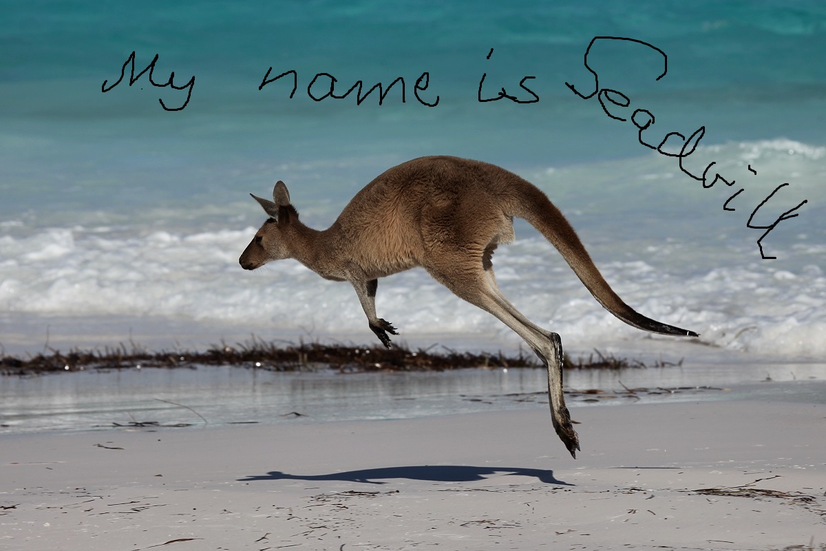 +Seaddrill mit Potenzial+ 975865