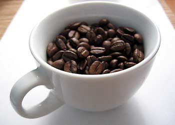 ▶ TTT - Dienstag, 06.05.2008 162564