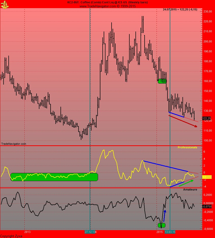 Endlich erfolgreiches Trading mit Rohstoffen 844050