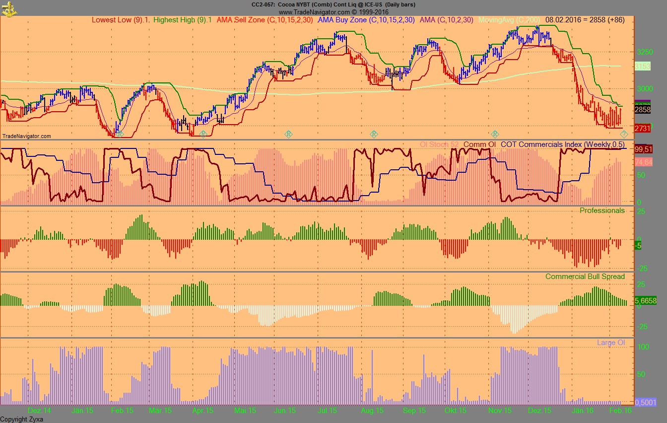 Endlich erfolgreiches Trading mit Rohstoffen 892631