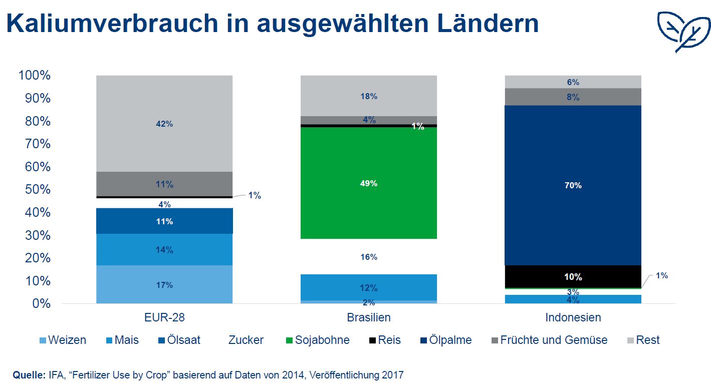 K+S wird unterschätzt 1320978