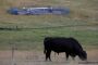 Enbridge - Dividendenperle und Highflyer 33699288