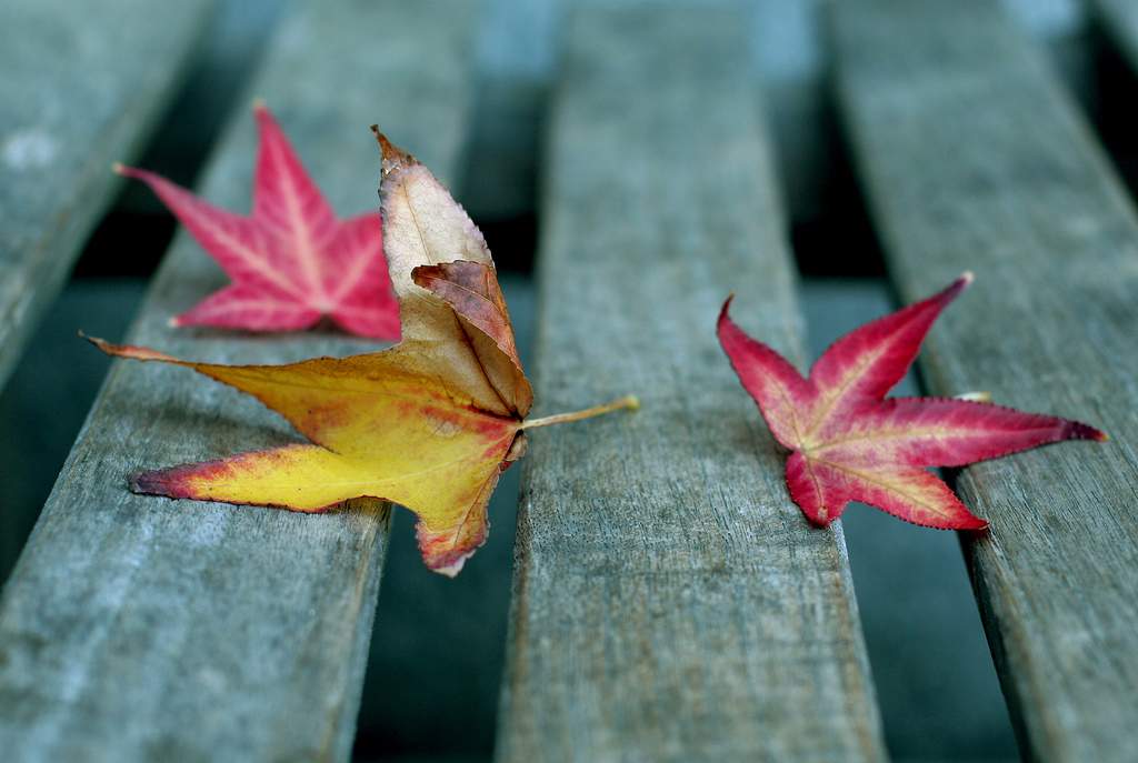 920.DAX Tipp-Spiel *Do* 20.11.08, 17.45 Uhr 200454