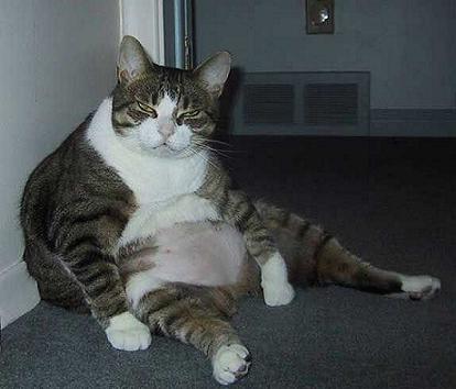 forsys neue Kursrakete ? 83957