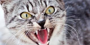 Aixtron- und die Banken stufen fröhlich auf kaufen 1077757