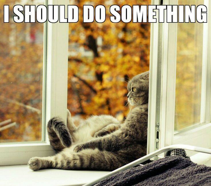 Euromicron, langfristig aufwärts 812756