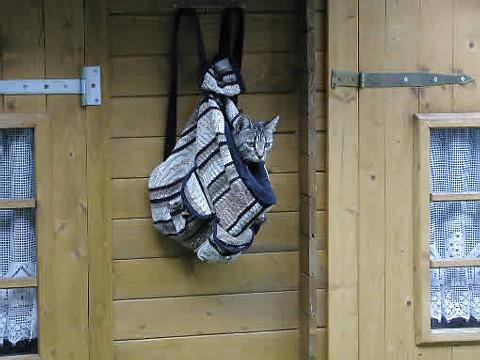 Nächste Grosse aufwärtsaktie? 133656