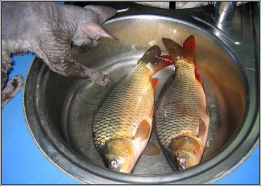 ▶ TTT - Mittwoch, 26.03.2008 156342