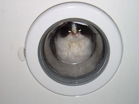 Gigaset ab 2011 - Informativ und immer am Ball .. 428810