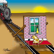 Ein Katze löste den Computerfehler aus. 318508